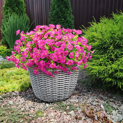 🔥Letzter Tag 60% RABATT🔥UV-beständige künstliche Petunienblumen